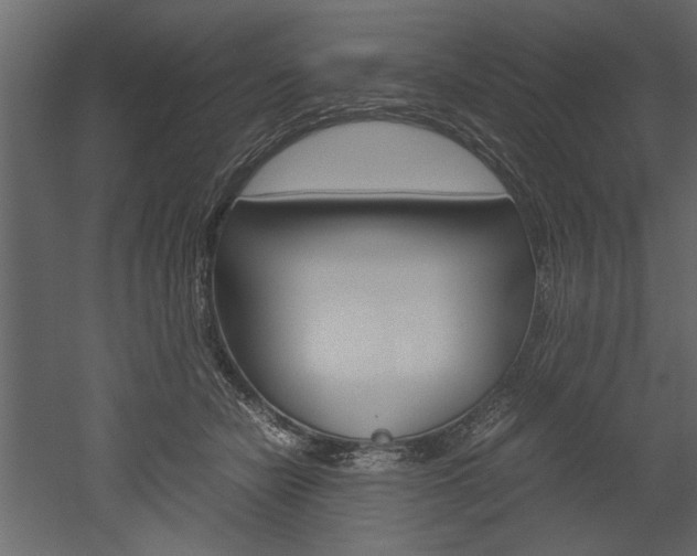 X0000052920462200507080805
