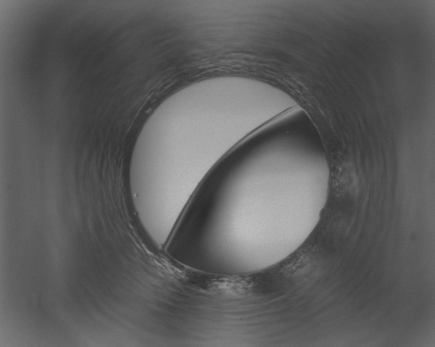 X0000052920466200507080805