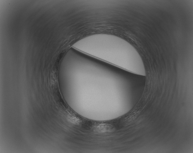 X0000052920467200507080805