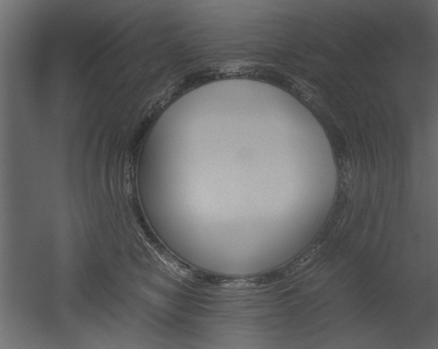X0000052920470200507080805