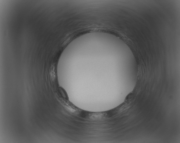 X0000052920479200507080805