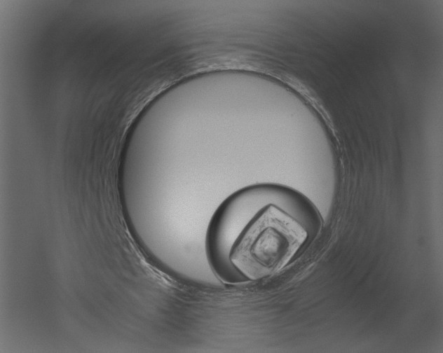X0000052920481200507080804