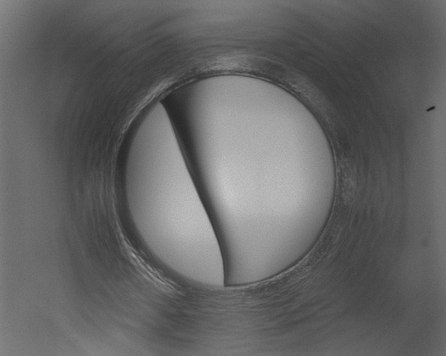 X0000052920482200507080804