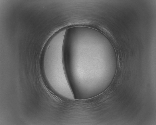 X0000052920483200507080804