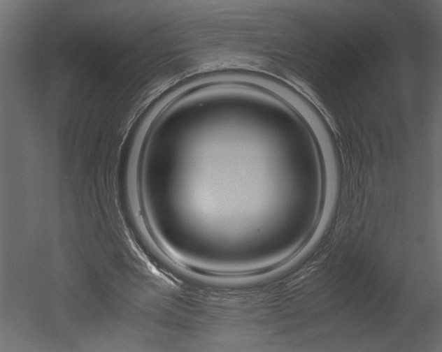 X0000052920485200507080804