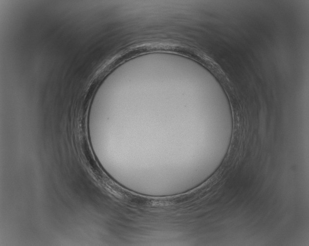 X0000052920487200507080804