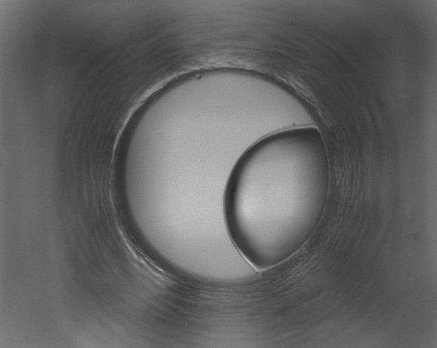X0000052920488200507080804