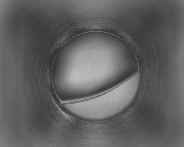 X0000052920489200507080804