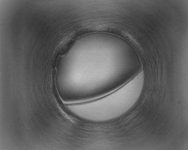 X0000052920493200507080804