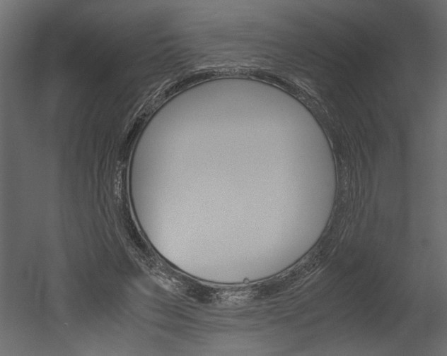X0000052920495200507080804