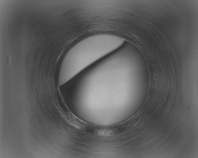 X0000052920500200507080804