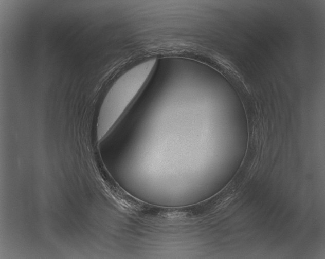 X0000052920501200507080804