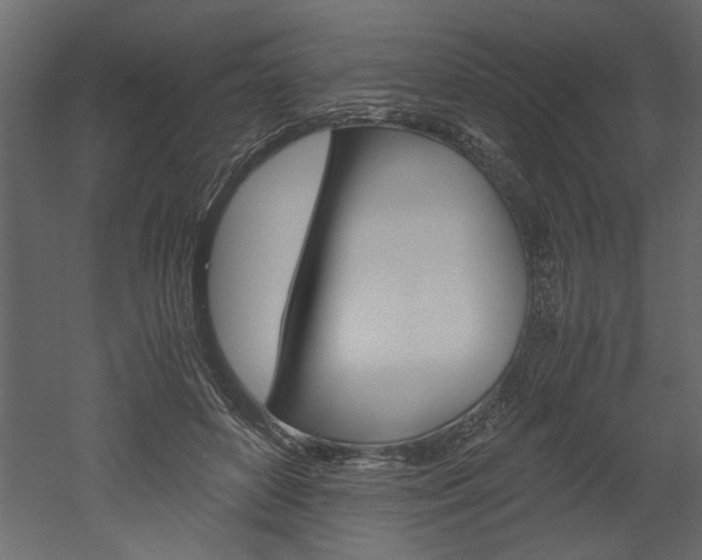 X0000052920504200507080804