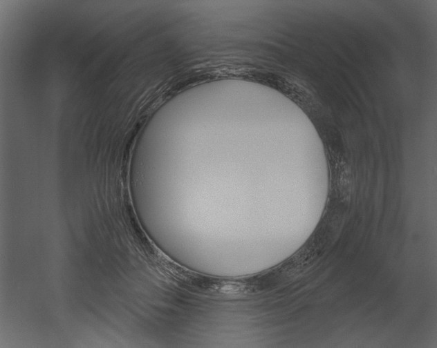 X0000052920506200507080804