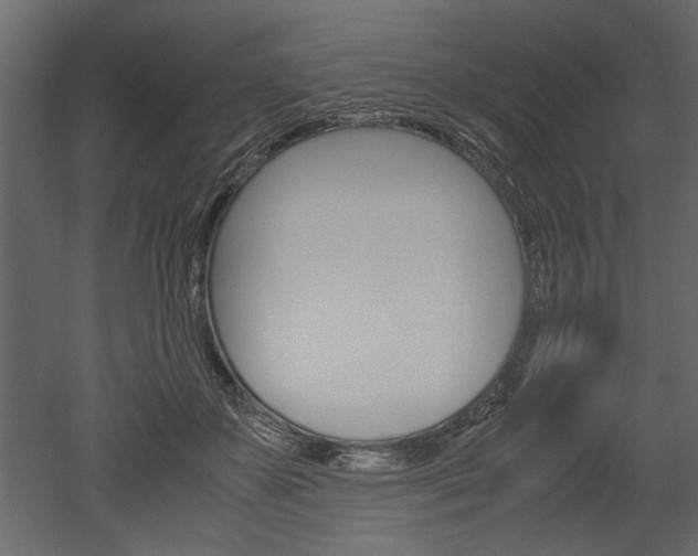 X0000052920507200507080804