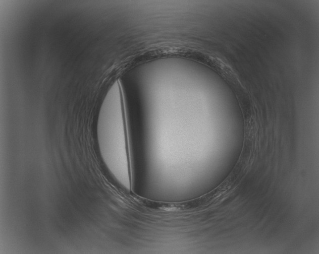 X0000052920509200507080804