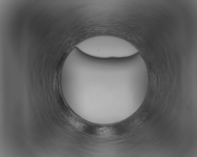 X0000052920511200507080804