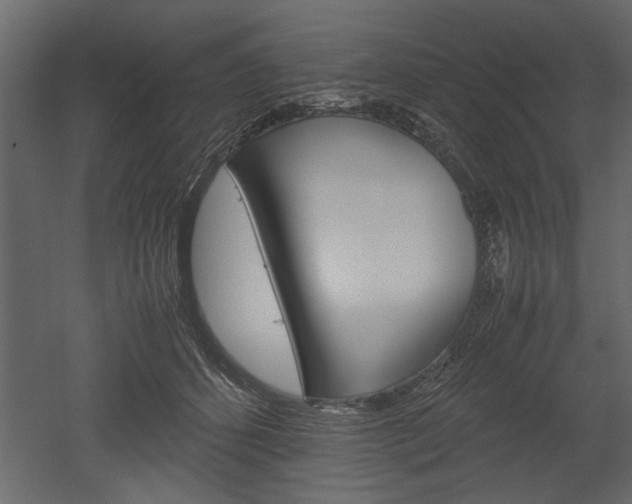 X0000052920512200507080804