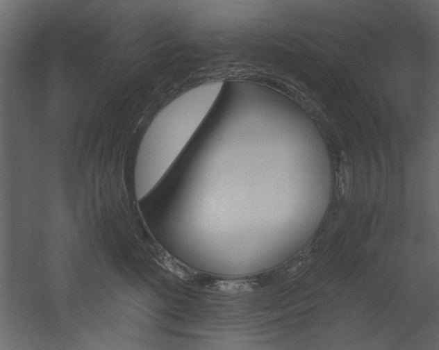 X0000052920520200507080804