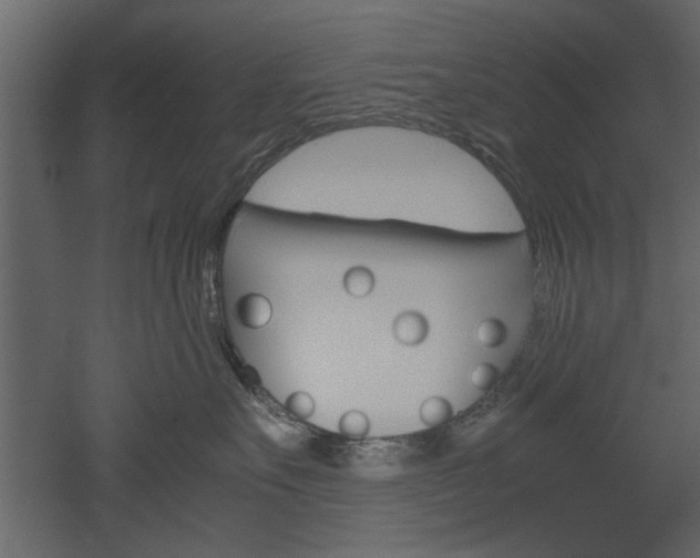 X0000052920527200507080804