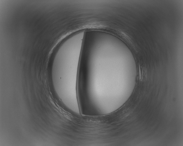 X0000052920531200507080803
