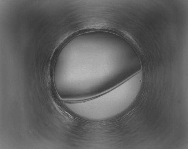 X0000052920532200507080803