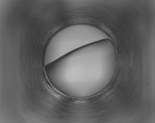 X0000052920537200507080803