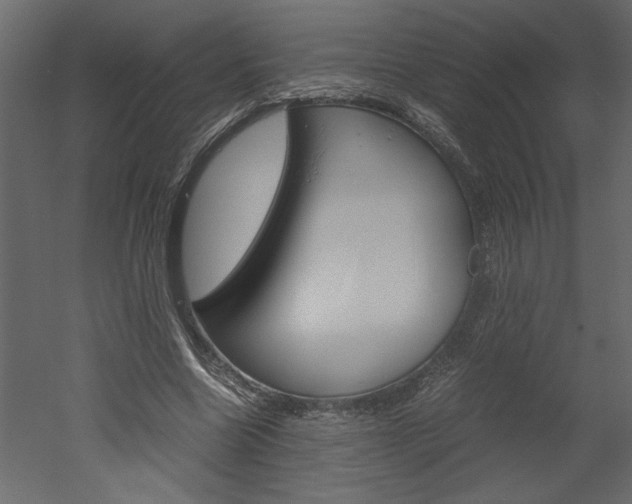 X0000052920538200507080803