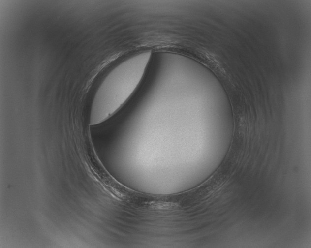 X0000052920539200507080803