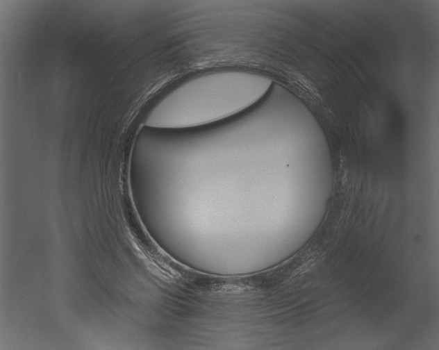 X0000052920542200507080803