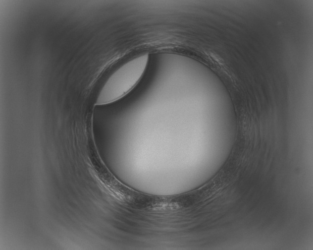 X0000052920543200507080803