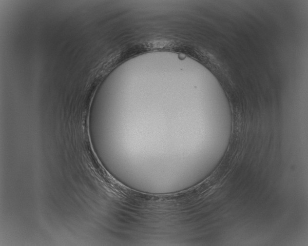 X0000052920545200507080803