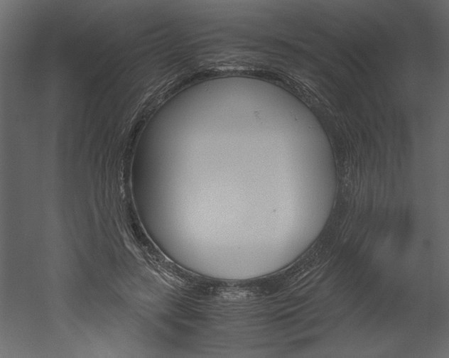 X0000052920547200507080803