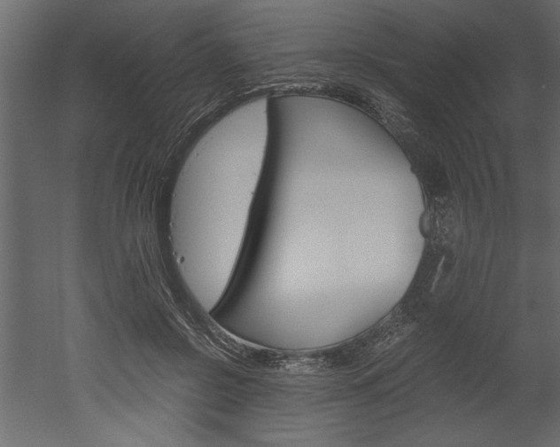 X0000052920550200507080803