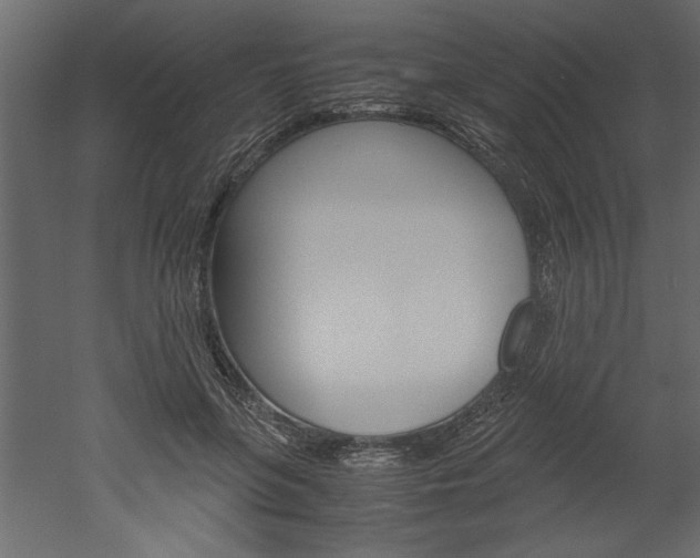 X0000052920551200507080803