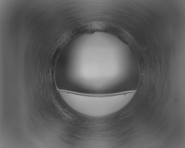 X0000052920552200507080803