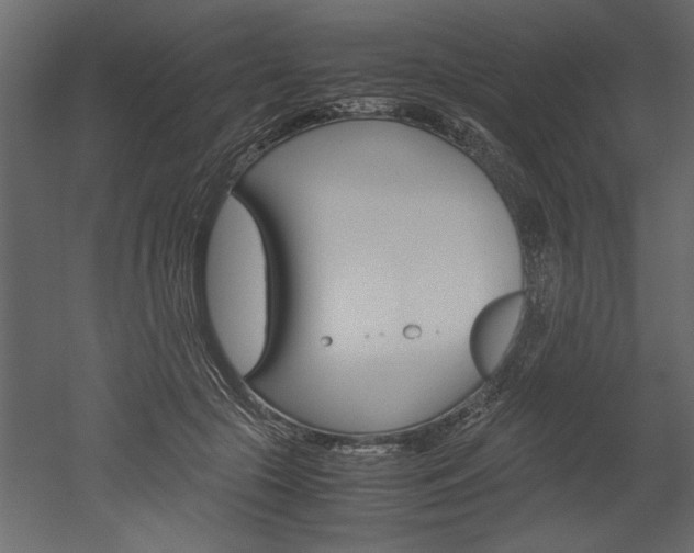 X0000052920553200507080803