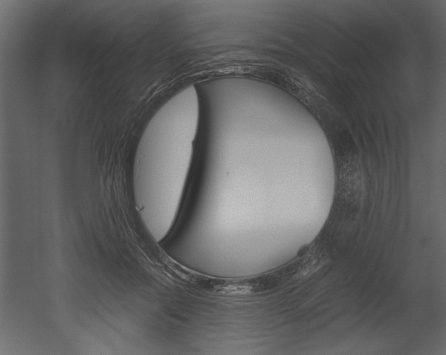 X0000052920554200507080803