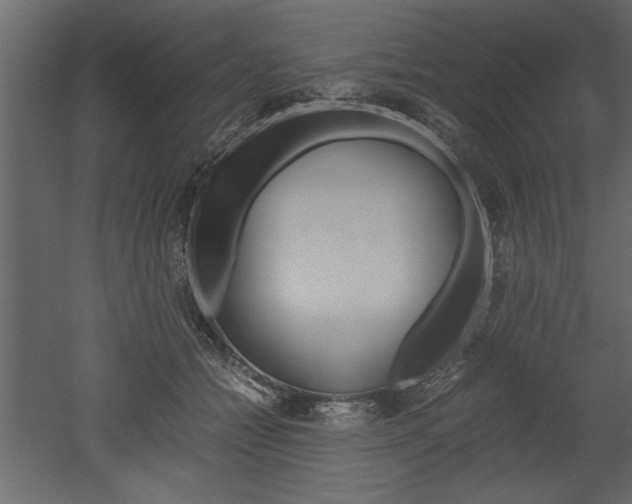 X0000052920558200507080803