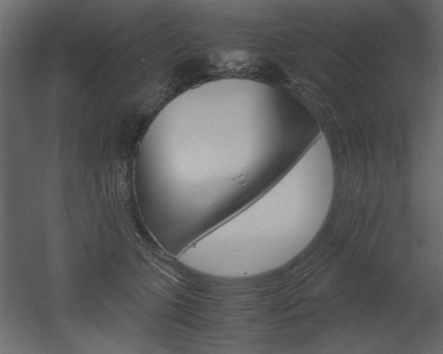 X0000052920563200507080803