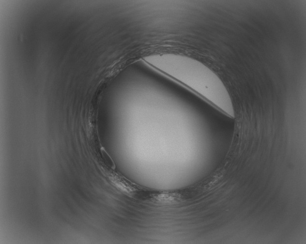 X0000052920566200507080803