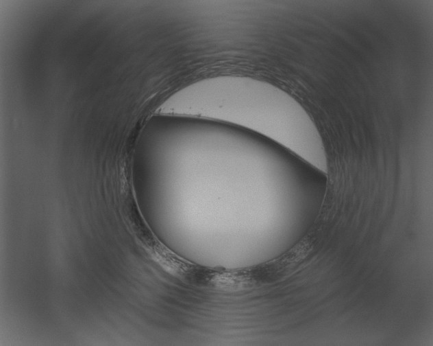 X0000052920568200507080804