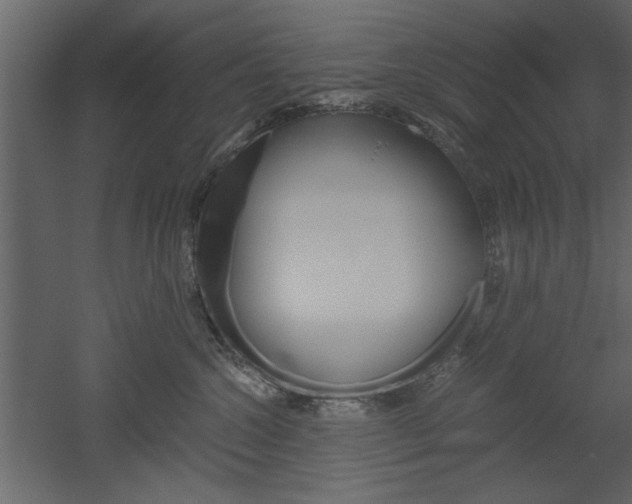 X0000052920572200507080804