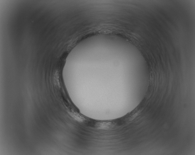 X0000052920575200507080804