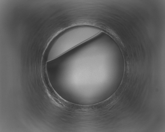 X0000052920580200507080803