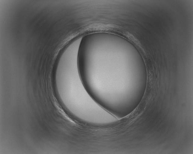 X0000052920581200507080803