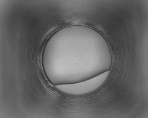 X0000052920587200507080803