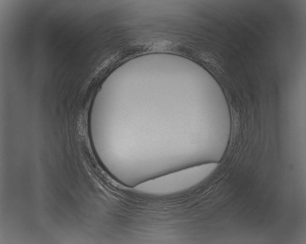 X0000052920591200507080803