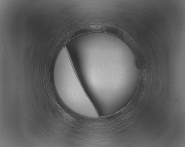 X0000052920593200507080803
