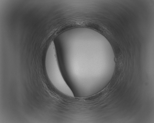 X0000052920595200507080803